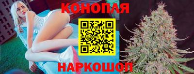 a pvp Заводоуковск