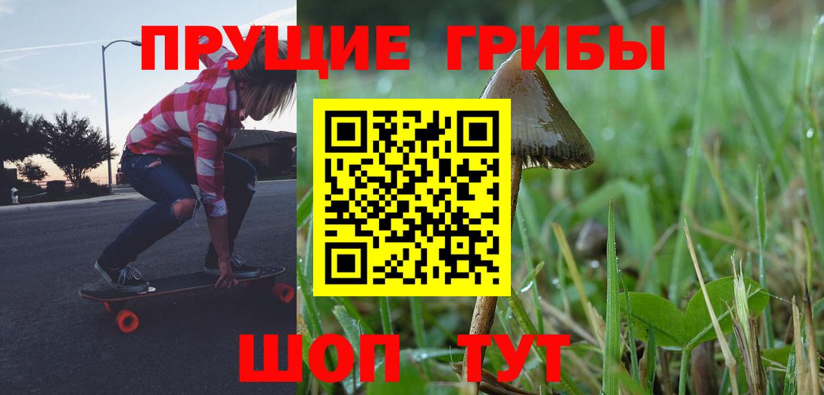Мирный  Псилоцибиновые грибы Psilocybe  Вход с VPN 